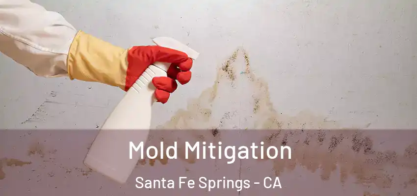  Mold Mitigation Santa Fe Springs - CA
