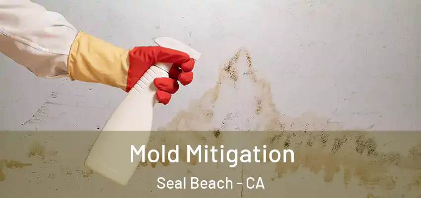  Mold Mitigation Seal Beach - CA