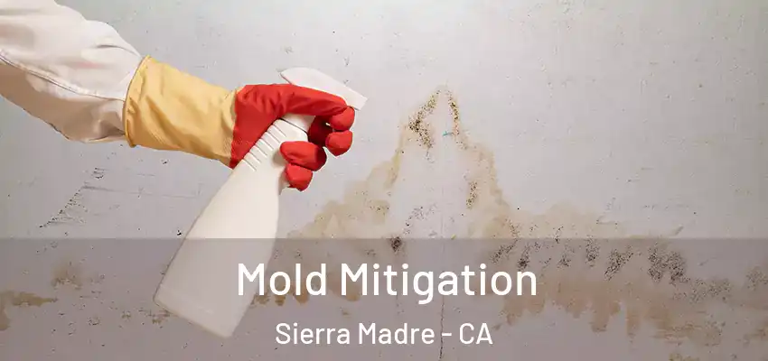 Mold Mitigation Sierra Madre - CA