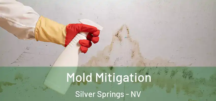  Mold Mitigation Silver Springs - NV