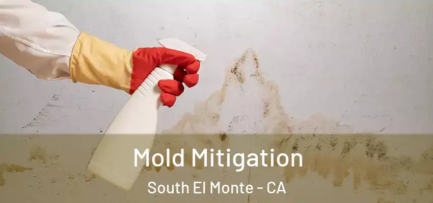  Mold Mitigation South El Monte - CA