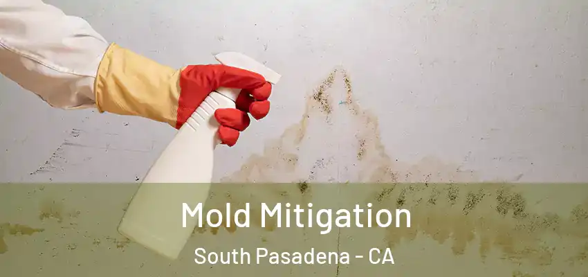  Mold Mitigation South Pasadena - CA