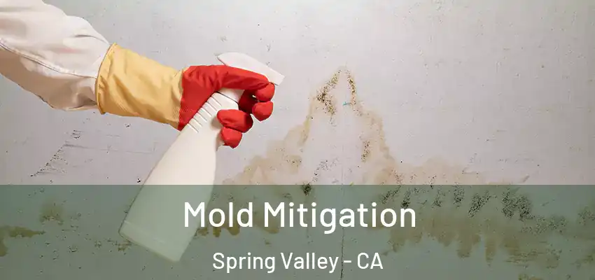  Mold Mitigation Spring Valley - CA