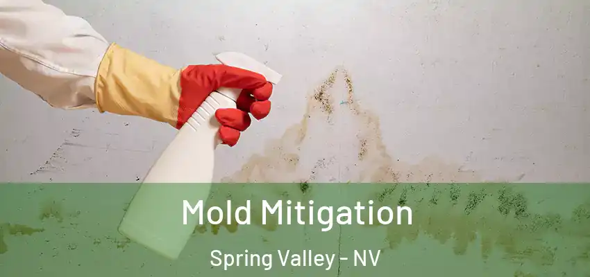  Mold Mitigation Spring Valley - NV