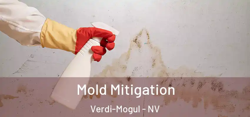  Mold Mitigation Verdi-Mogul - NV