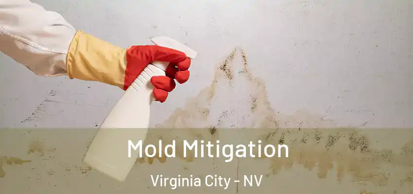  Mold Mitigation Virginia City - NV