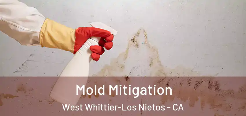  Mold Mitigation West Whittier-Los Nietos - CA
