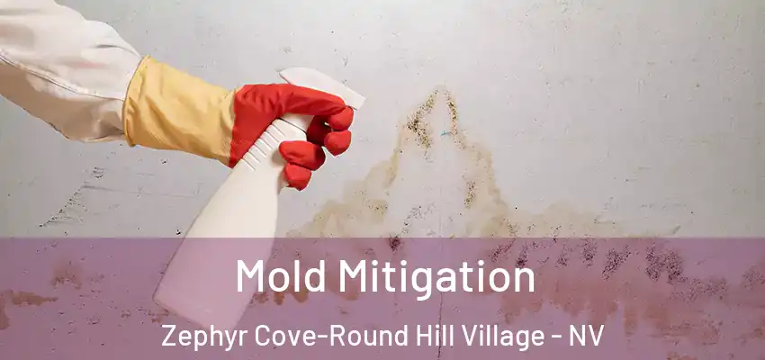  Mold Mitigation Zephyr Cove-Round Hill Village - NV