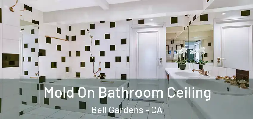  Mold On Bathroom Ceiling Bell Gardens - CA