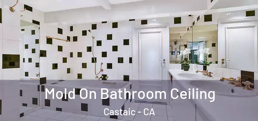  Mold On Bathroom Ceiling Castaic - CA