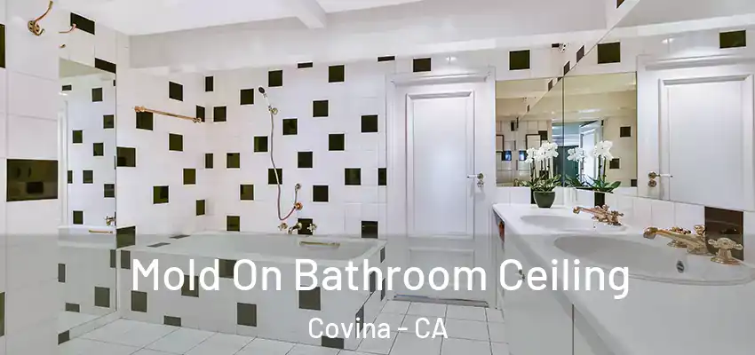  Mold On Bathroom Ceiling Covina - CA