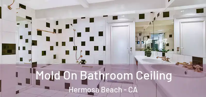  Mold On Bathroom Ceiling Hermosa Beach - CA