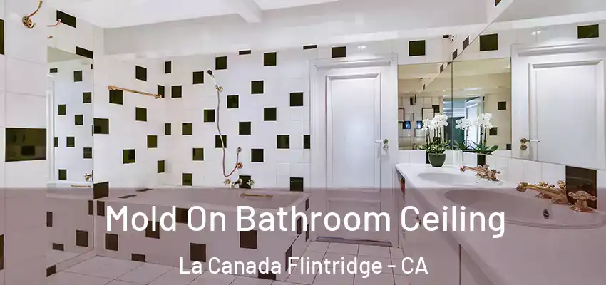 Mold On Bathroom Ceiling La Canada Flintridge - CA