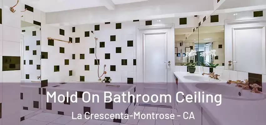  Mold On Bathroom Ceiling La Crescenta-Montrose - CA