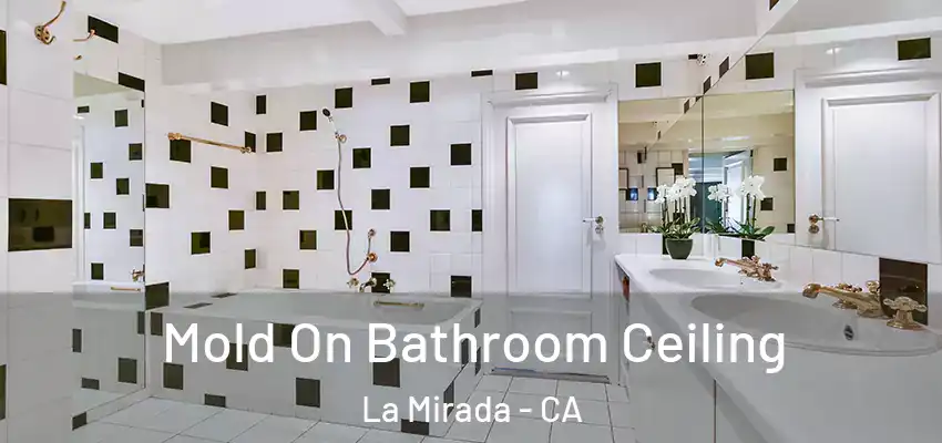  Mold On Bathroom Ceiling La Mirada - CA