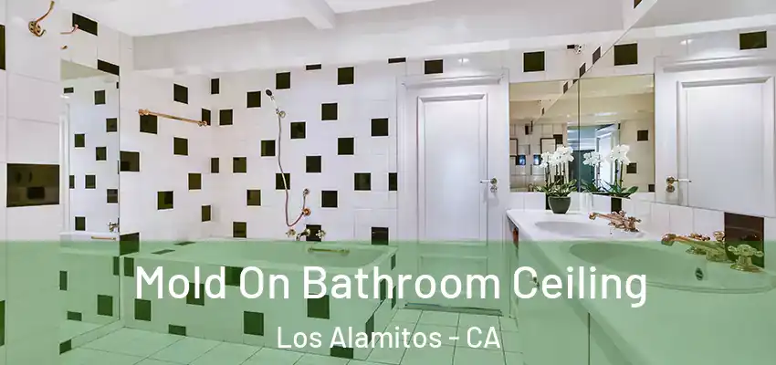  Mold On Bathroom Ceiling Los Alamitos - CA