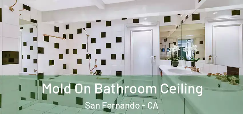 Mold On Bathroom Ceiling San Fernando - CA