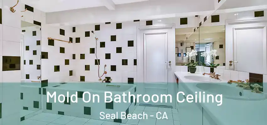  Mold On Bathroom Ceiling Seal Beach - CA