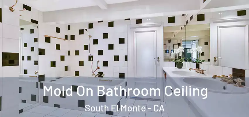  Mold On Bathroom Ceiling South El Monte - CA
