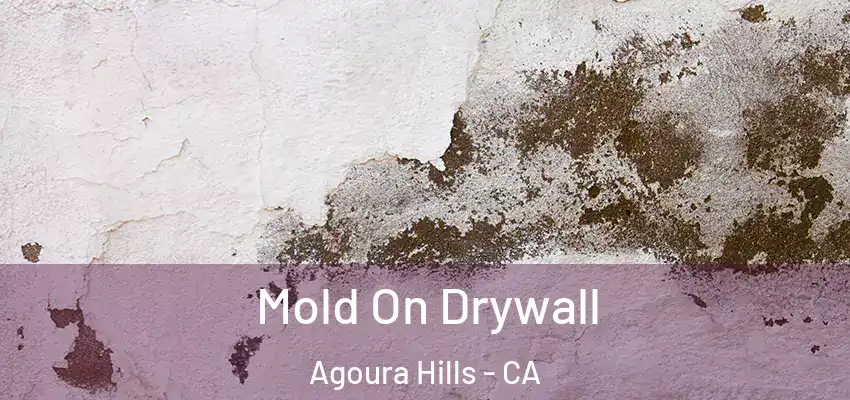  Mold On Drywall Agoura Hills - CA