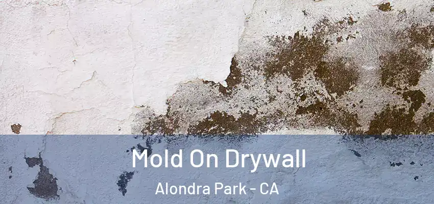 Mold On Drywall Alondra Park - CA