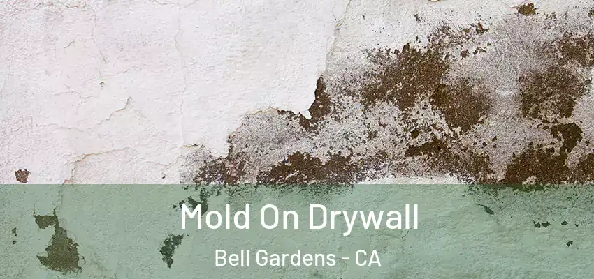  Mold On Drywall Bell Gardens - CA