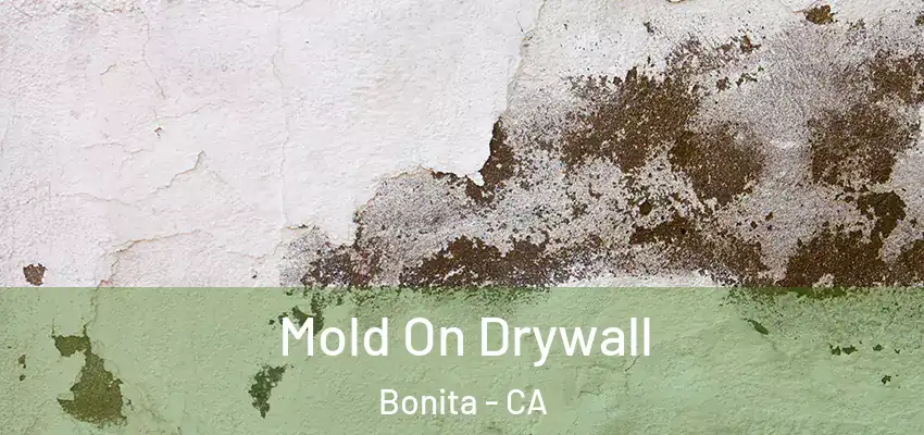  Mold On Drywall Bonita - CA