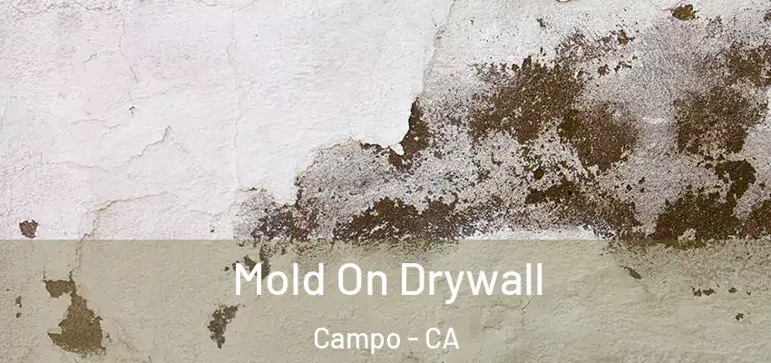  Mold On Drywall Campo - CA