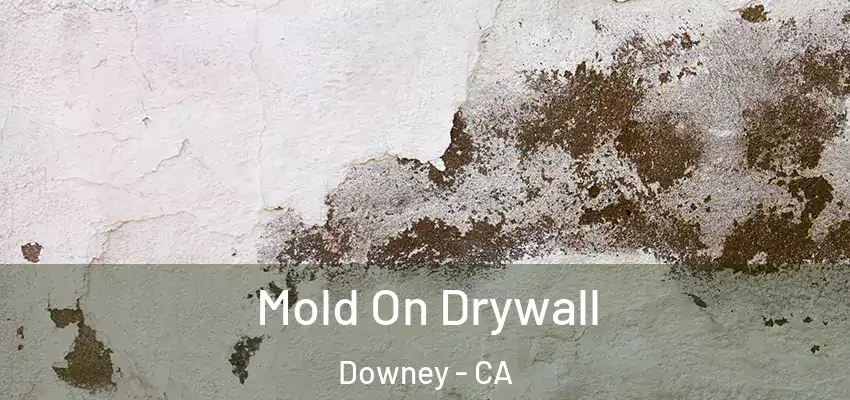 Mold On Drywall Downey - CA