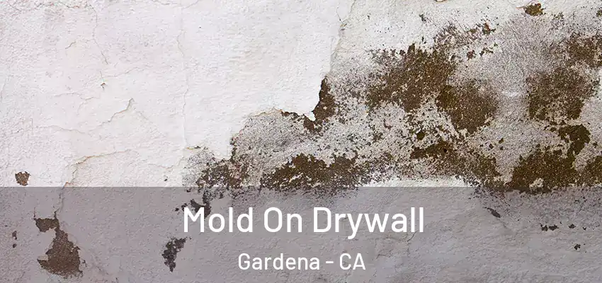  Mold On Drywall Gardena - CA