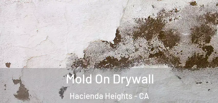  Mold On Drywall Hacienda Heights - CA