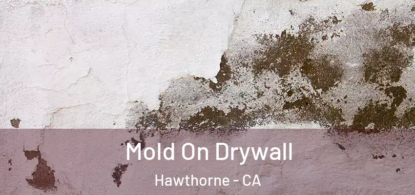 Mold On Drywall Hawthorne - CA