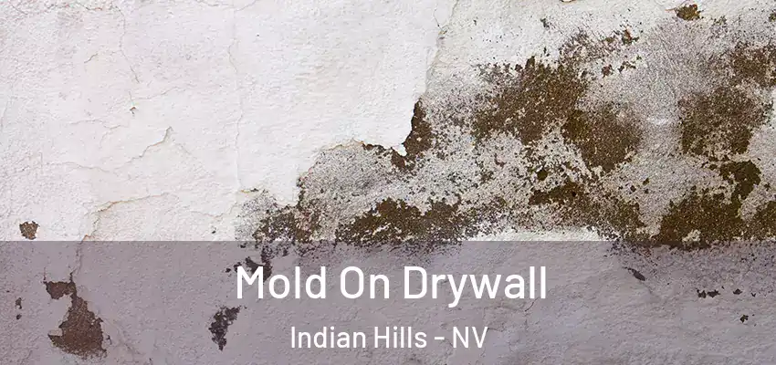  Mold On Drywall Indian Hills - NV