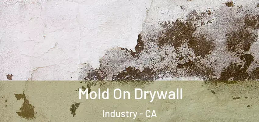  Mold On Drywall Industry - CA