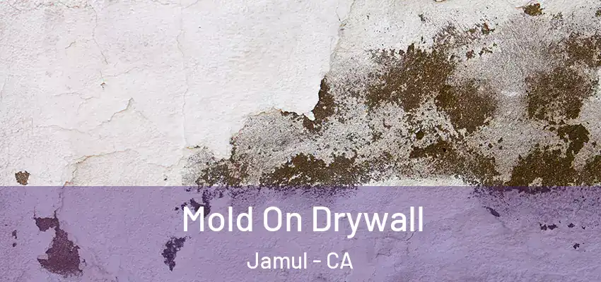  Mold On Drywall Jamul - CA