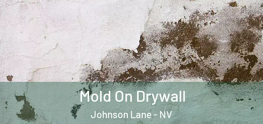  Mold On Drywall Johnson Lane - NV