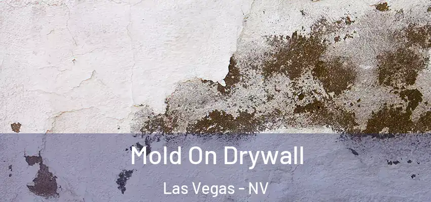  Mold On Drywall Las Vegas - NV
