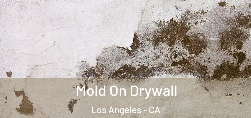 Mold On Drywall Los Angeles - CA