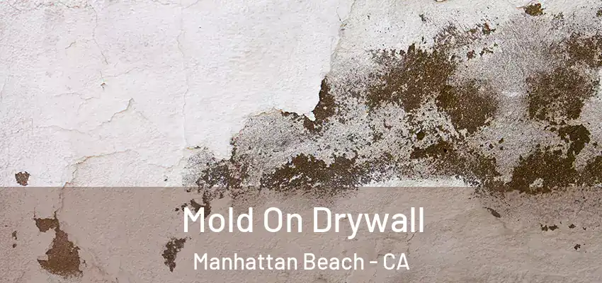  Mold On Drywall Manhattan Beach - CA