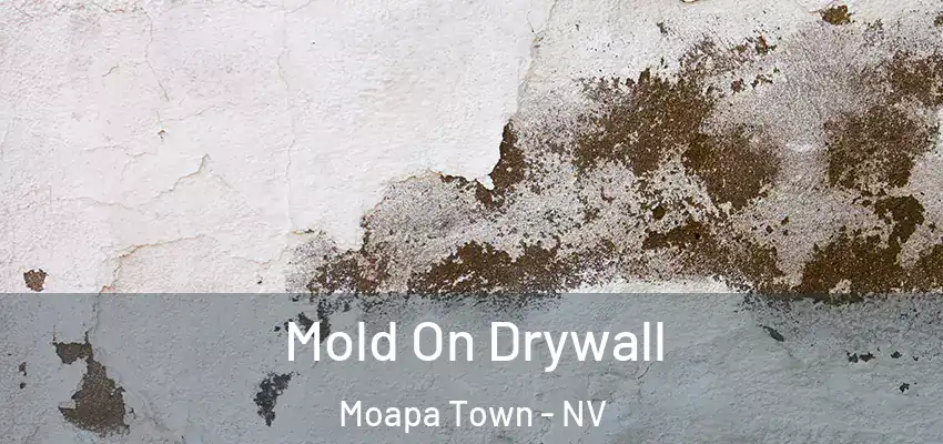 Mold On Drywall Moapa Town - NV