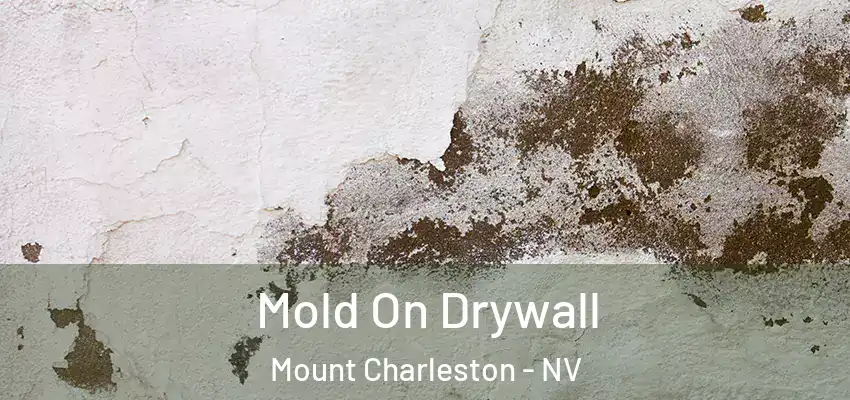  Mold On Drywall Mount Charleston - NV