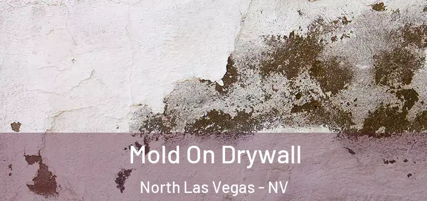 Mold On Drywall North Las Vegas - NV