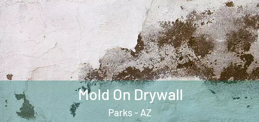  Mold On Drywall Parks - AZ