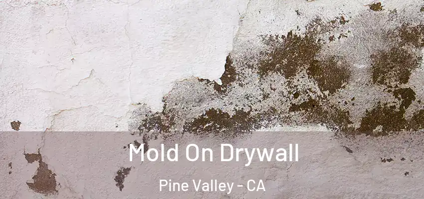 Mold On Drywall Pine Valley - CA