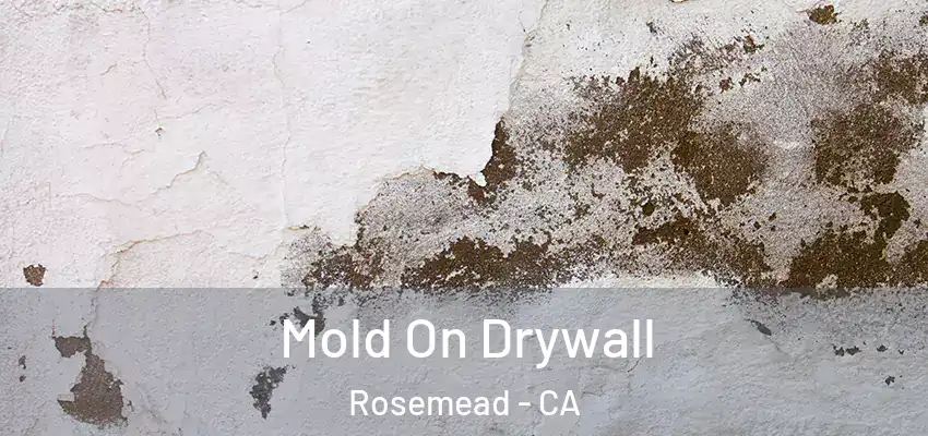  Mold On Drywall Rosemead - CA