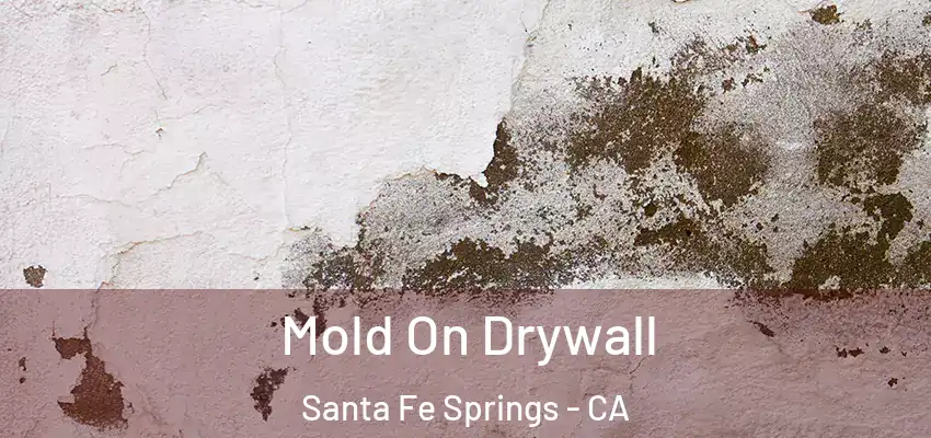  Mold On Drywall Santa Fe Springs - CA