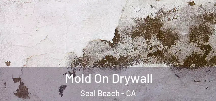 Mold On Drywall Seal Beach - CA