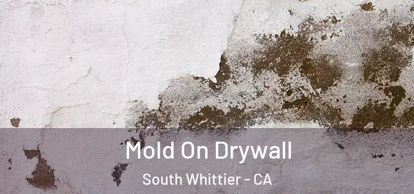  Mold On Drywall South Whittier - CA