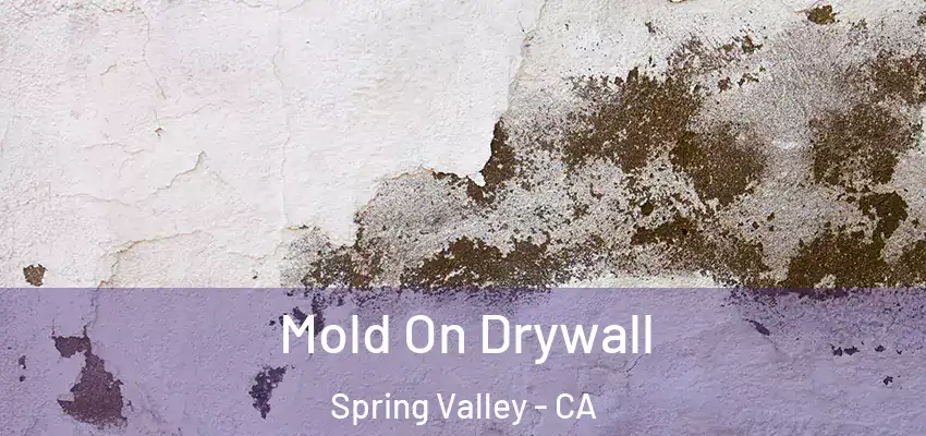 Mold On Drywall Spring Valley - CA