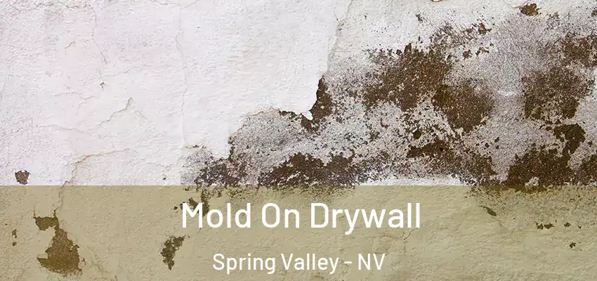  Mold On Drywall Spring Valley - NV